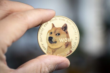 Elon Musk Reveals The Reasons Behind Dogecoin Investing, But Why Did DOGE Drop?