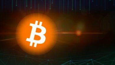 Will Bitcoin Worth Restrict And Gradual The Quantity Of BTC ‘Wholecoiners’?